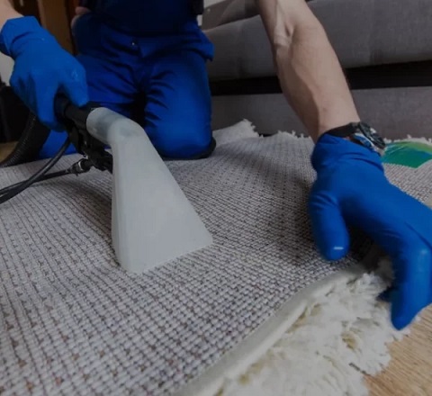 carpet cleaning services